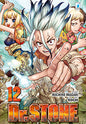 DR.STONE 12